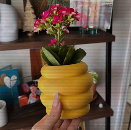 honey pots plant Honey Pot Planter