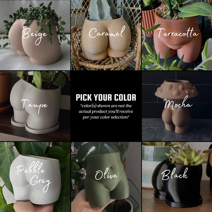 Plant Pics Only Planter | More Colors Available