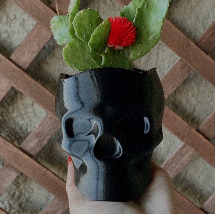 Skull Planter | More Colors Available