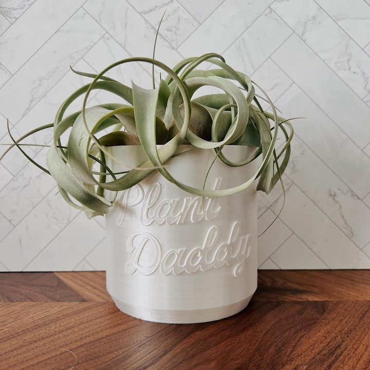 Plant Daddy Planter | More Sizes + Colors Available