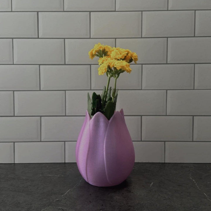 Tulip Vase | More Colors Available